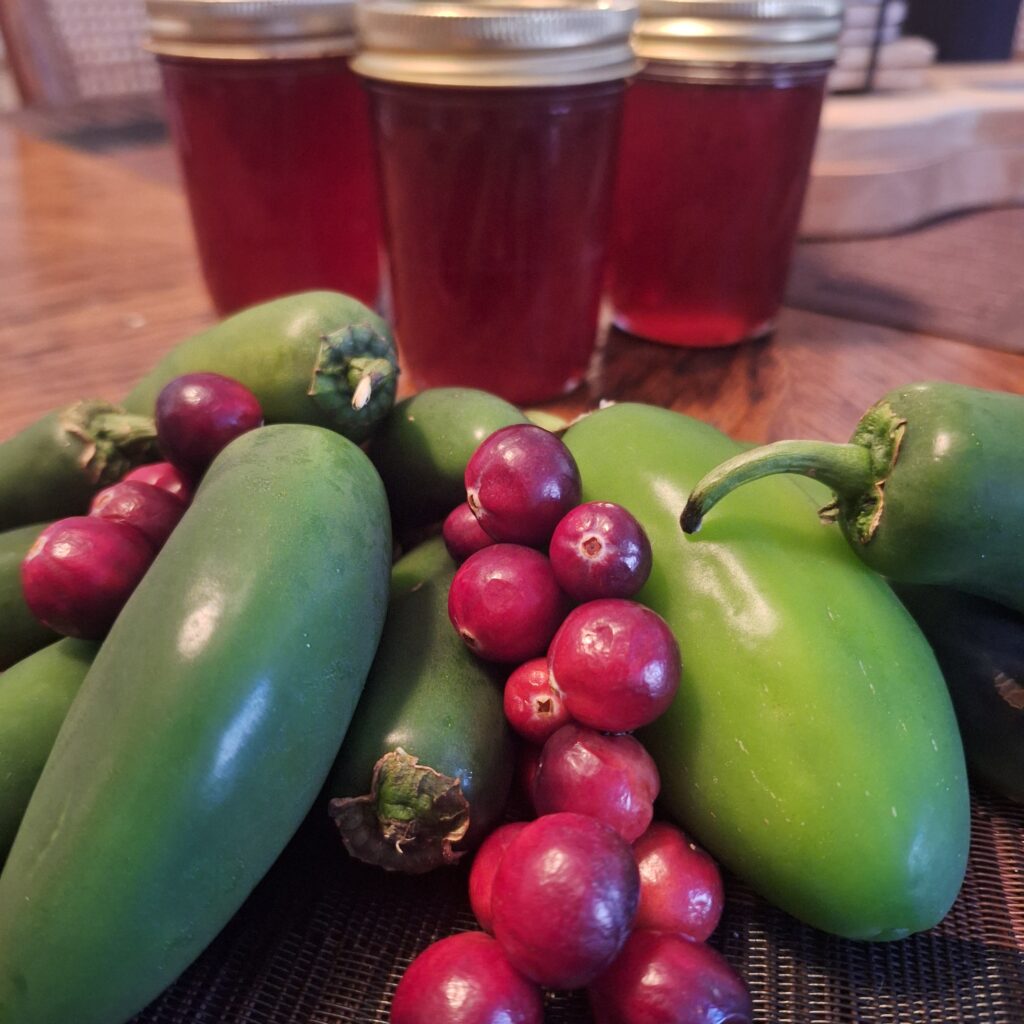New Cranberry Jalapeno Jelly!